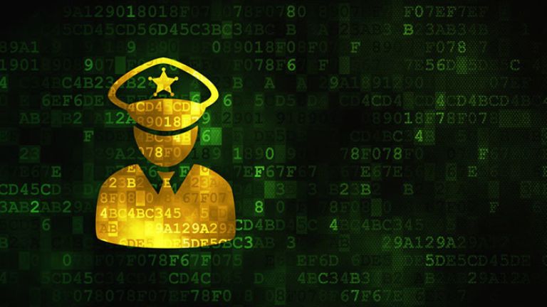 Services and Benefits of the CCTNS Policing Portal